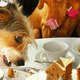 Image for article titled North Korean TV Uses Riley the Stoned Dog to Prove America's Decadence